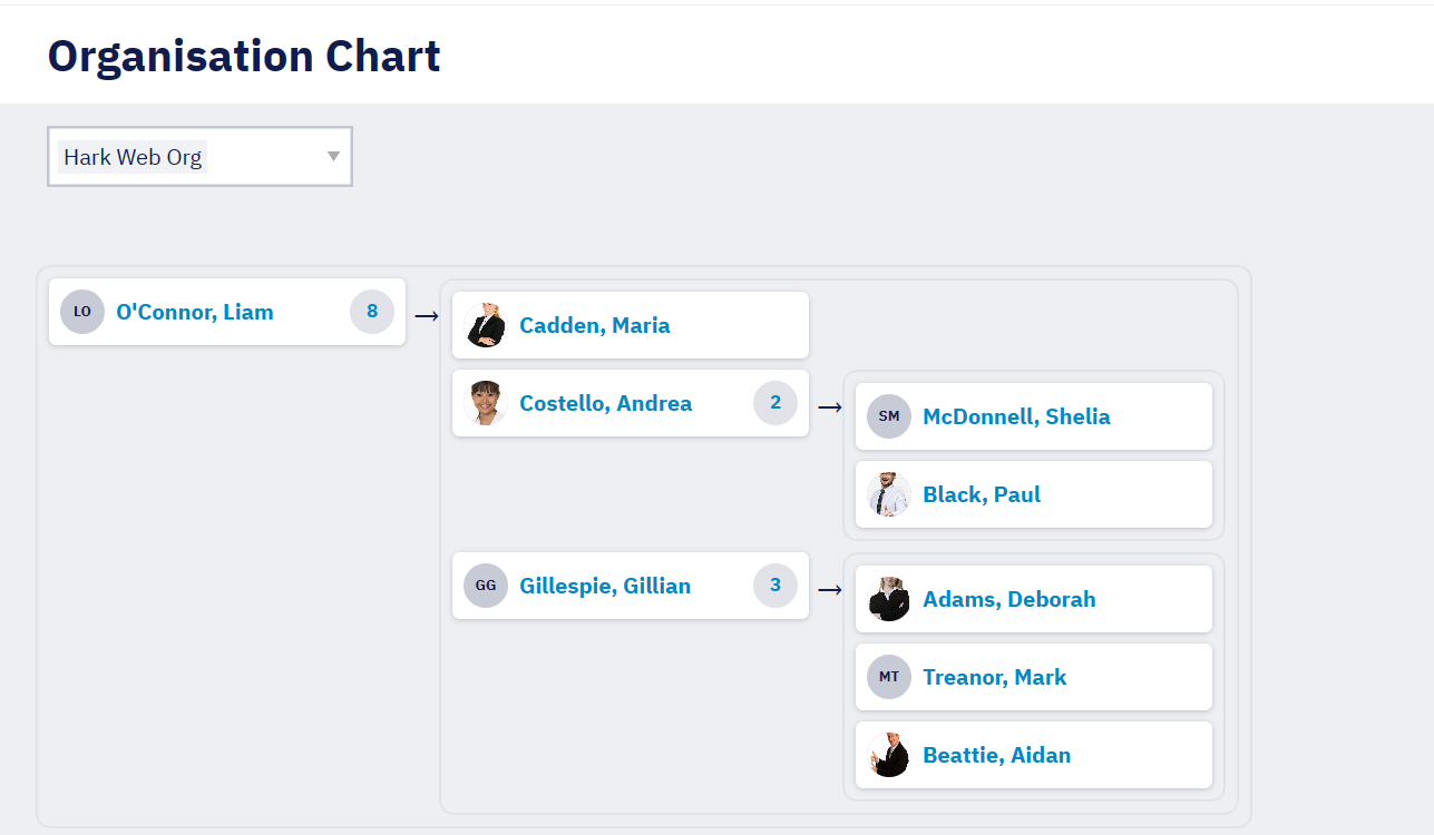 Screen showing an example of an Organisation Chart